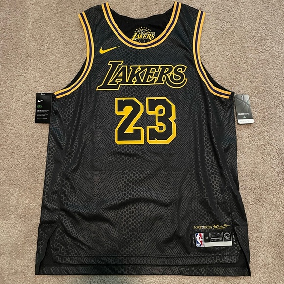 Nike Shirts Lebron James Los Angeles Lakers City Edition Jersey